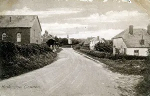 Salisbury: The Common, Winterslow, Wiltshire