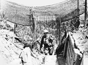 Netting: Communication trench
