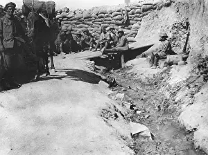 Gully: Communications trench at Gallipoli WWI
