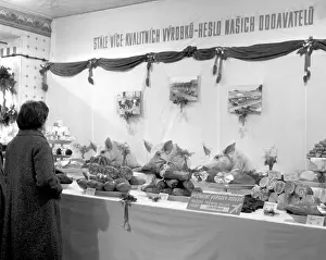 Hampl: Communist propaganda - pig heads