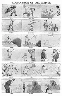 Jessica Talmage Collection: Comparison of adjectives, learning for children
