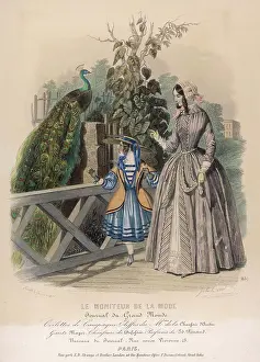 Admired: COMPETING WITH PEACOCK