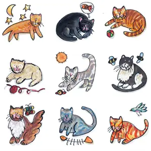 Muncaster: Composite of nine cats