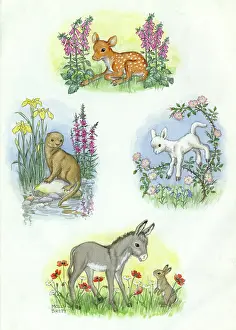 Foxgloves: Composite design ' fawn, otter, , lamb, donkey