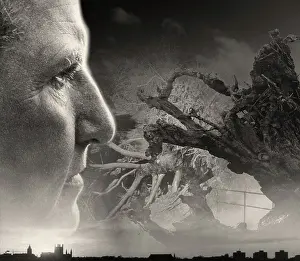 Talmage: Composite image of Gertrude Stein and uprooted trees