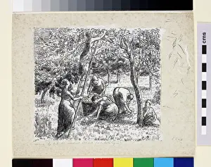 Compositional: Compositional study of female peasants harvesting apples