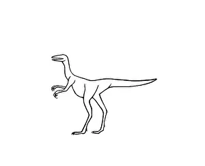Phanerozoic: Compsognathus