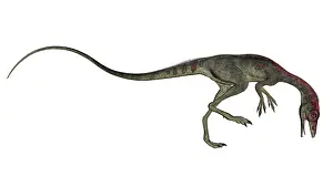 Longipes: Compsognathus dinosaur