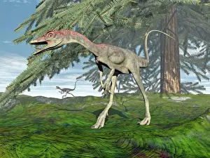 Evergreen: Compsognathus dinosaur under fir tree