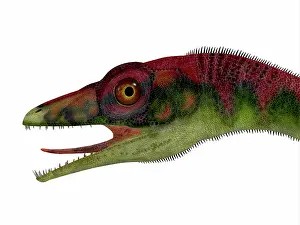 Longipes: Compsognathus dinosaur portrait