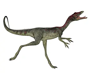 Longipes: Compsognathus dinosaur running