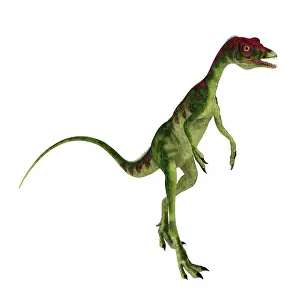 Longipes: Compsognathus dinosaur walking upright