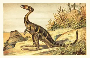 Tithonian: Compsognathus longipes, extinct small, carnivorous theropod