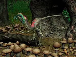 Longipes: A Compsognathus prepares to swallow a small lizard