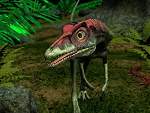 Longipes: A Compsognathus wanders a late Jurassic forest