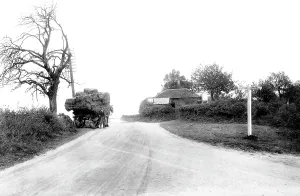 Hogs: Compton, the Hogs Back, Old Toll House 1907