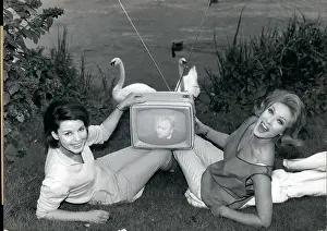 Reloaded: Computers - Electronics - Robots - Technology - TV's