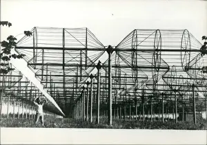 Antennae: Computers - Electronics - Robots - Technology - TV's