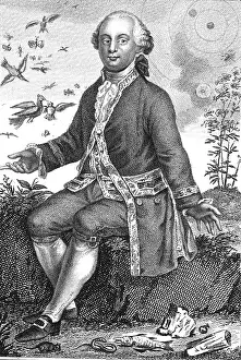 Comte: Comte de Buffon, French Naturalist