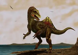 Concavenator: A Concavenator corcovatus running on the beach