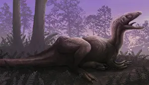 Concavenator: Concavenator corcovatus with a strange crest on its back