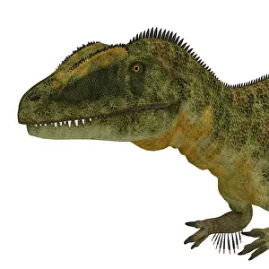 Concavenator: Concavenator dinosaur head