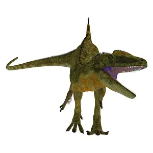 Concavenator: Concavenator dinosaur roaring