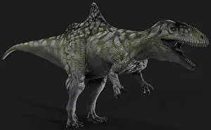 Claw: Concavenator dinosaur, side view on gray background