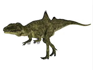 Concavenator: Concavenator dinosaur, side view on white background