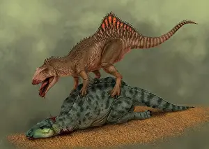Concavenator: A Concavenator kills a young iguanodon dinosaur
