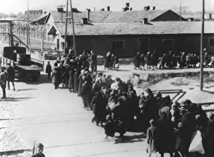 Crematory: Concentration camp - Auschwitz