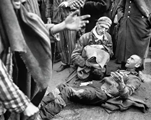 Malnutrition: concentration camp - holocaust - WW2 - prisoners