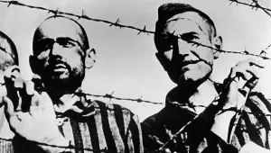 Inmate: Concentration camp prisoners