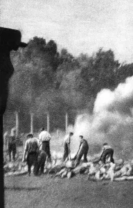 Birkenau: Concentration camp prisoners in Auschwitz
