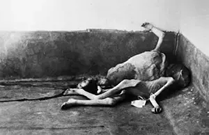 Radom: CONCENTRATION VICTIMS