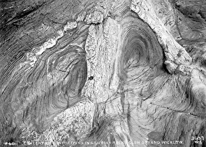 Silurian: Concentric Contortions in Silurian Rocks, Glen Strand, Wickl