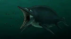 Ichthyosaur: Concept of the suction feeding Shastasaurus eating ?