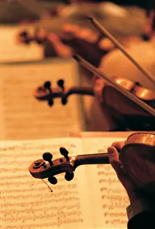 Musikverein: Concert by the Vienna Philharmonic Orchestra
