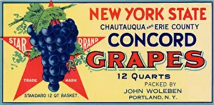 Concord: Concord Grape Label