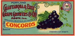 Concord: Concord Grape Label