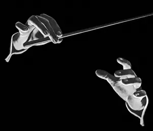 Conductors: Conductor's Hands