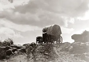 Ruts: Conestoga Wagon On Dirt Road On