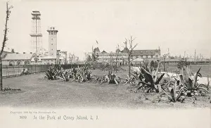 Funfair: Coney Island