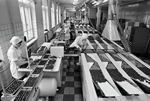 Packing: Confectionery factory