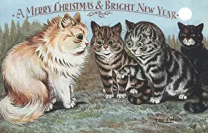 Message: Conferring Cats