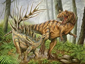 Stegosaur: Confrontation between a Kentrosaurus and a Ceratosaurus