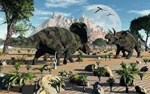 Nesmoi: Confrontation between two male Albertaceratops