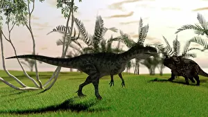 Einiosaurus: Confrontation between a Monolophosaurus and a brown ?