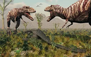 Rival: Confrontation between a pair of T Rex dinosaurs over a dead