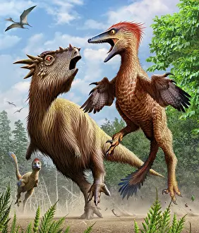 Pachycephalosaurid: Confrontation between Pectinodon bakkeri and a Stygimoloch